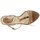 kengät Naiset Sandaalit ja avokkaat Etro 3443 Ruskea