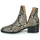 kengät Naiset Bootsit Steve Madden CONSPIRE Beige / Python