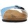 kengät Naiset Sandaalit ja avokkaat Antonio Miro 316601 Sininen