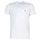 vaatteet Miehet Lyhythihainen t-paita Lacoste TH6709 Valkoinen