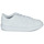 kengät Lapset Matalavartiset tennarit adidas Originals Novice C Valkoinen