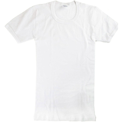 vaatteet Pojat Lyhythihainen t-paita Abanderado 0302-BLANCO Valkoinen