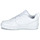 kengät Lapset Matalavartiset tennarit Nike COURT BOROUGH LOW 2 GS Valkoinen