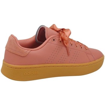 kengät Naiset Matalavartiset tennarit adidas Originals Advantage Bold Vaaleanpunaiset, Hunajan värinen
