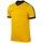 vaatteet Miehet Lyhythihainen t-paita Nike Striker IV Keltainen