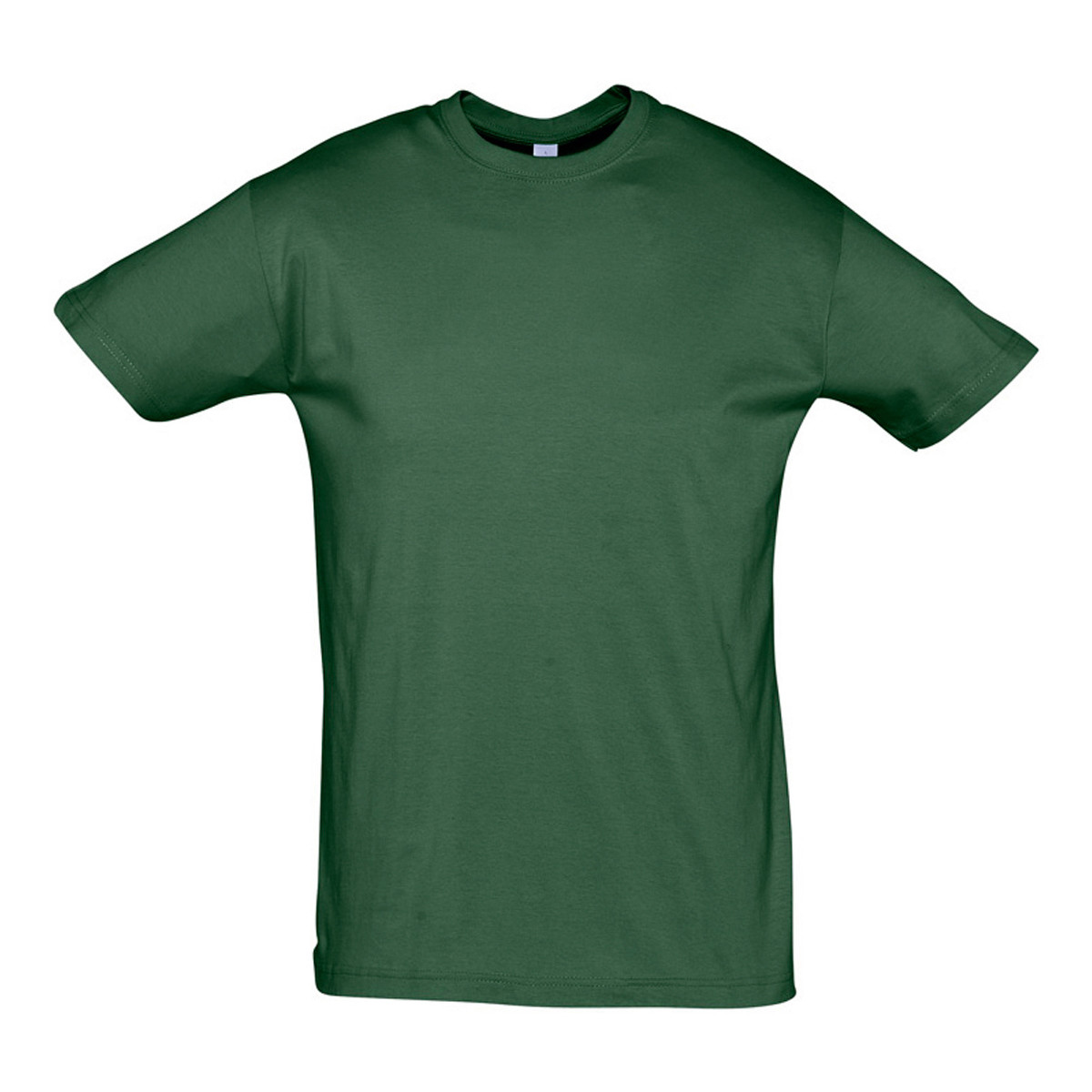 vaatteet Lyhythihainen t-paita Sols REGENT COLORS MEN Vihreä