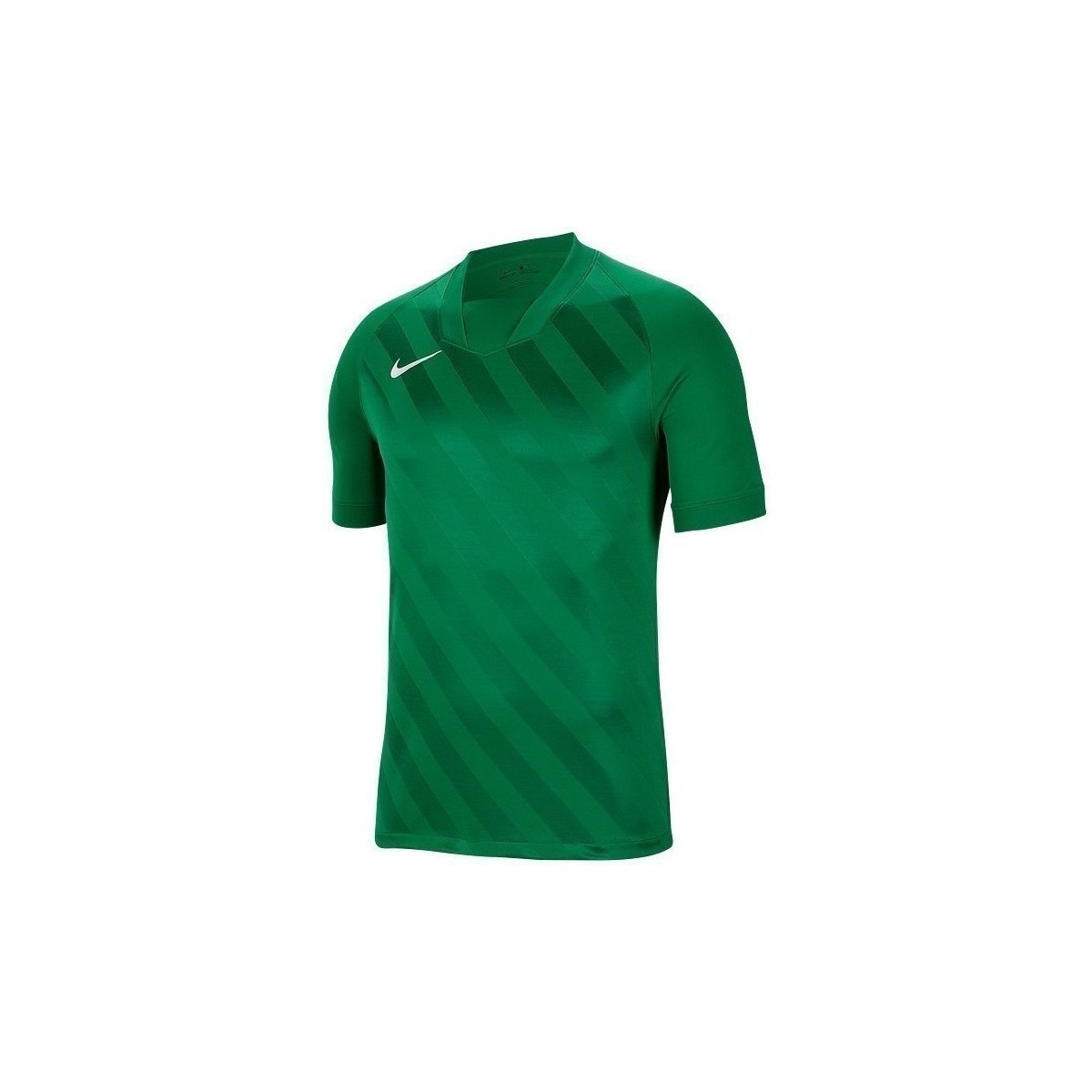 vaatteet Miehet Lyhythihainen t-paita Nike Challenge Iii Vihreä