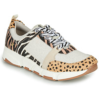 kengät Naiset Matalavartiset tennarit Gioseppo CREAZZO Leopardi