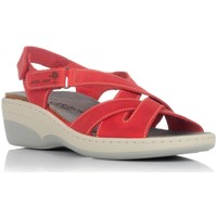 kengät Naiset Sandaalit ja avokkaat Interbios 3017 Punainen