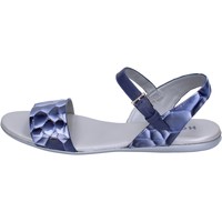 kengät Naiset Sandaalit ja avokkaat Hogan BK656 Sininen