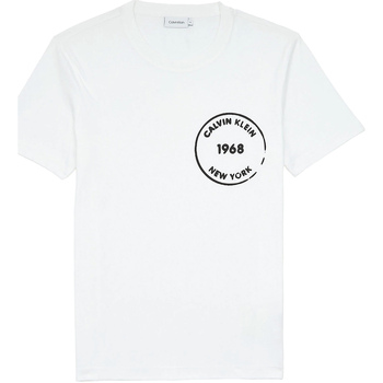 vaatteet Miehet Lyhythihainen t-paita Calvin Klein Jeans K10K104509 Valkoinen