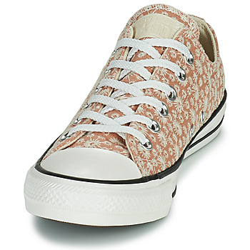Converse CHUCK TAYLOR ALL STAR CANVAS BRODERIE OX Beige