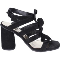 kengät Naiset Sandaalit ja avokkaat Sergio Cimadamore BK865 Musta