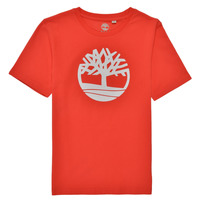 vaatteet Pojat Lyhythihainen t-paita Timberland LOLLA Punainen