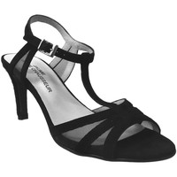 kengät Naiset Sandaalit ja avokkaat Brenda Zaro F2039 Musta