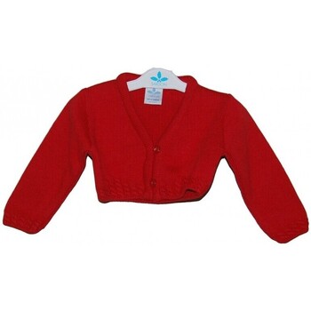 vaatteet Paksu takki Sardon 21433-1 Punainen