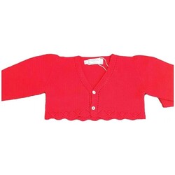 vaatteet Paksu takki P. Baby 23824-1 Punainen