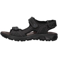 kengät Miehet Sandaalit ja avokkaat IgI&CO 5147800 Musta