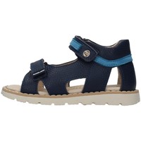 kengät Pojat Sandaalit ja avokkaat Balducci CITA4352 Sininen