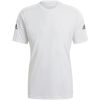 vaatteet Miehet Lyhythihainen t-paita adidas Originals Squadra 21 Valkoiset