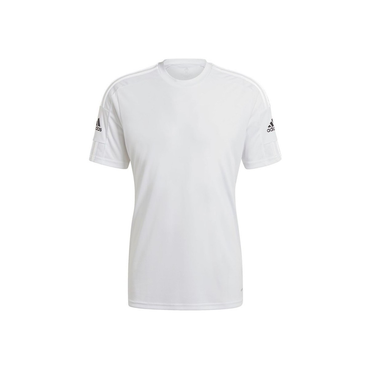 vaatteet Miehet Lyhythihainen t-paita adidas Originals Squadra 21 Valkoinen