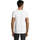 vaatteet Miehet Lyhythihainen t-paita Sols Camiseta IMPERIAL FIT color Blanco Valkoinen