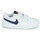 kengät Lapset Matalavartiset tennarit Nike NIKE PICO 5 (TDV) Valkoinen / Sininen