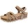 kengät Sandaalit ja avokkaat Coquette 25253-24 Ruskea