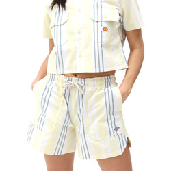 vaatteet Naiset Shortsit / Bermuda-shortsit Dickies DK0A4XCPB541 Keltainen