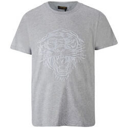 vaatteet Miehet Lyhythihainen t-paita Ed Hardy Tiger glow t-shirt mid-grey Harmaa