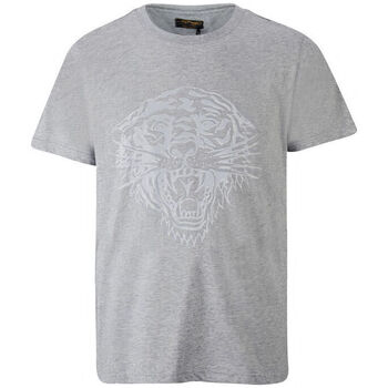 vaatteet Miehet Lyhythihainen t-paita Ed Hardy - Tiger glow t-shirt mid-grey Harmaa