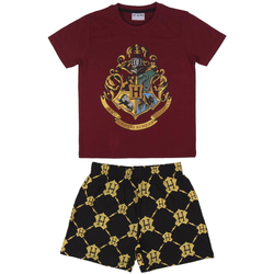 vaatteet Lapset pyjamat / yöpaidat Harry Potter 2200006993 Punainen