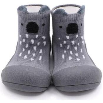 kengät Lapset Vauvan tossut Attipas Endangered Animal Koala - Grey Harmaa