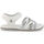kengät Miehet Sandaalit ja avokkaat Shone 7193-021 White Valkoinen