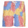 vaatteet Miehet Shortsit / Bermuda-shortsit Polo Ralph Lauren R221ST06 Monivärinen / Tie