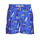 vaatteet Miehet Uima-asut / Uimashortsit Polo Ralph Lauren W221SC13 Sininen / Monivärinen
