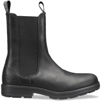 kengät Naiset Bootsit Docksteps DSW130302 Musta