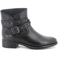 kengät Naiset Bootsit IgI&CO 8185000 Musta
