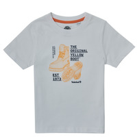 vaatteet Pojat Lyhythihainen t-paita Timberland TOULOUSA Valkoinen