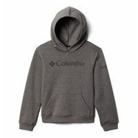 vaatteet Pojat Svetari Columbia COLUMBIA TREK HOODIE Harmaa