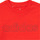vaatteet Pojat Lyhythihainen t-paita Adidas Sportswear ELORRI Punainen