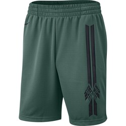 vaatteet Miehet Shortsit / Bermuda-shortsit Nike SB Dry Short Gfx Vihreät