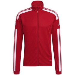 vaatteet Miehet Ulkoilutakki adidas Originals Squadra 21 Punainen, Valkoiset