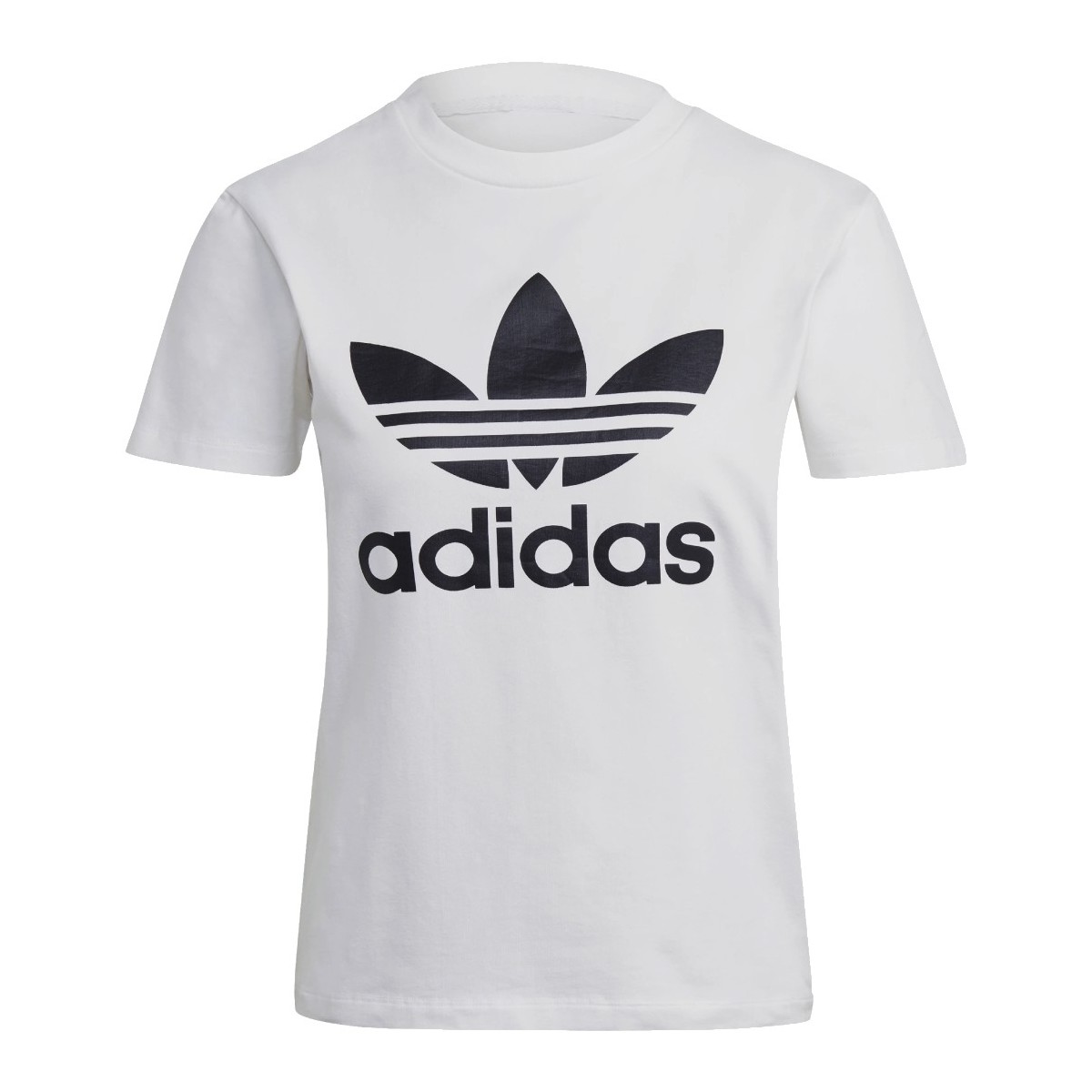 vaatteet Naiset Lyhythihainen t-paita adidas Originals adidas Adicolor Classics Trefoil Tee Valkoinen