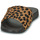kengät Naiset Rantasandaalit FitFlop IQUSHION Leopardi / Musta