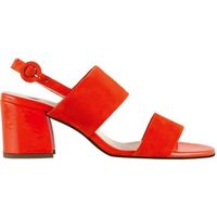kengät Naiset Sandaalit ja avokkaat Högl 9-105542-4200 Oranssi
