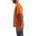 vaatteet Miehet Lyhythihainen t-paita Dickies DK0A4XNYC381 Oranssi