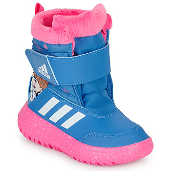 kengät Tytöt Talvisaappaat adidas Performance WINTERPLAY Frozen I Sininen / Vaaleanpunainen