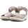 kengät Naiset Sandaalit ja avokkaat Skechers 163310 Beige