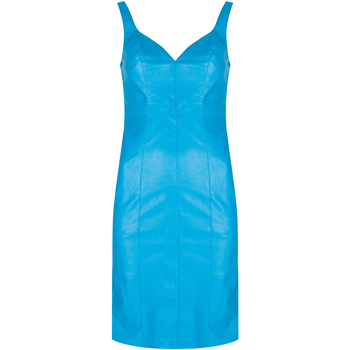 vaatteet Naiset Lyhyt mekko Pinko 1G160W 7105 | Pudico Abito Sininen
